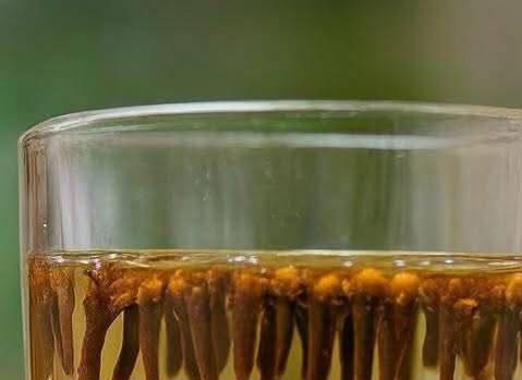 Clove Water: The Hidden Power in Your Kitchen