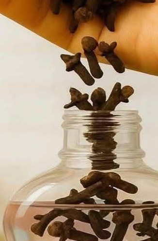 Baby Oil & Cloves: The Unexpected Bug Repellent You’ll Love