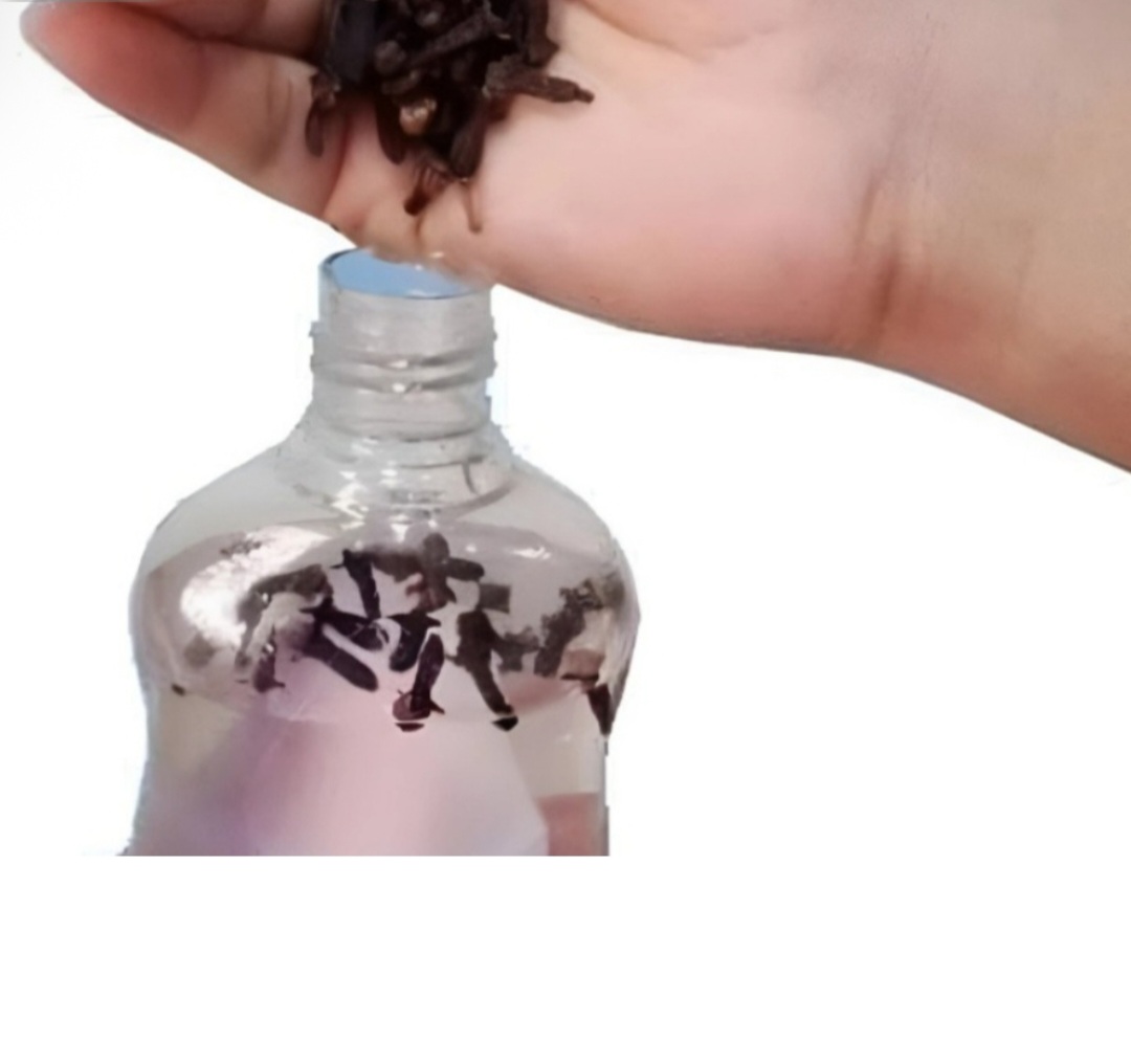 Baby Oil Cloves The Unexpected Bug