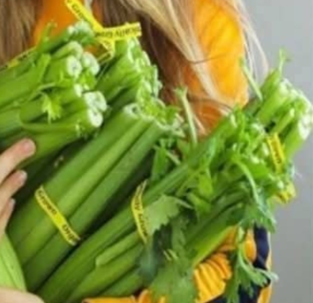 Celery Juice to Cleanse Kidneys Liver