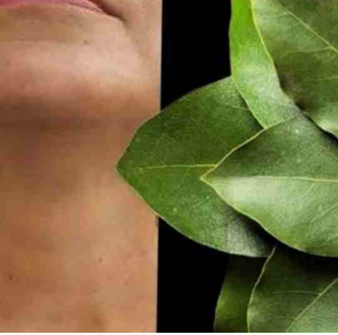 Bay Leaf: The Natural Wrinkle Eraser for Ageless Beauty