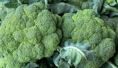 Doctors Reveal That Green Broccoli Causes… (The Surprising Side Effects You Should Know)