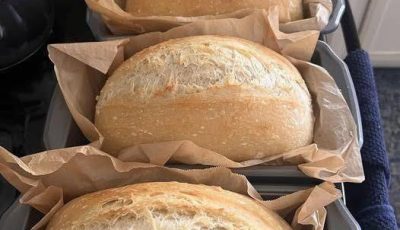 The Best No-Knead Sandwich Bread Recipe – Soft, Fluffy & Incredibly Easy!
