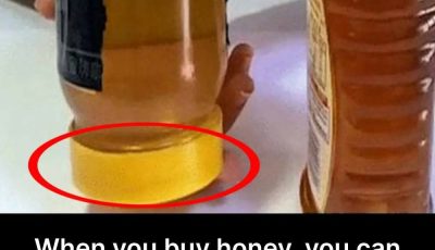 How to check if honey is real or fake?
