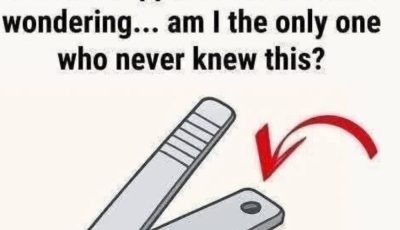 You’ve Probably Used Nail Clippers for Years—But This Tiny Detail Changes Everything