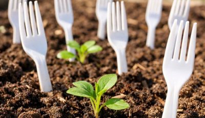 Here’s why you should stick plastic forks in your garden bed