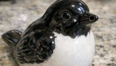 Found this hollow ceramic bird in a box of old kitchen stuff
