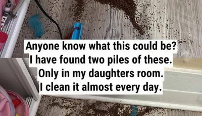 Anyone Know What This Could Be?” — Those Mysterious Piles in Your Child’s Room, Explained