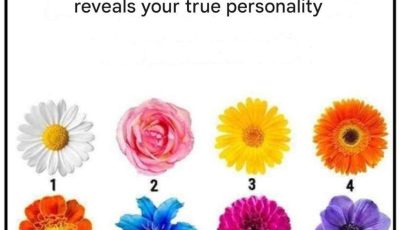 No chatter — the flower you pick reveals your true character trait