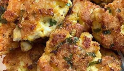 Cheesy Chicken Fritters
