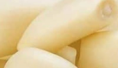 El Garlic: The Natural Antibiotic That Wages War on Infections
