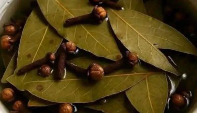 Bay Leaf and Clove Herbal Tea