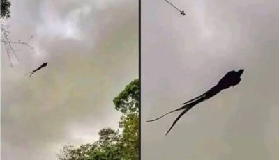 A Peculiar Photograph Has Been Circulating on Social Media — But There’s No Reason to Panic
