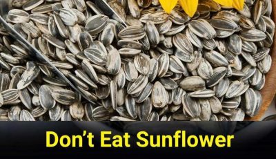 5 great dishes you should never leave behind, or else you’ll just throw them away
