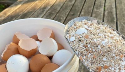 Most People Toss Eggshells, But Boiling Them Solves This Common Household Problem