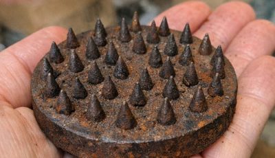 The Attic’s Secret Keeper: Uncovering the Truth Behind a Spiky Metal Mystery