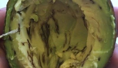 How to Know If an Avocado Is Safe to Eat: The Ultimate Guide to Avoiding Waste (and Disappointment)