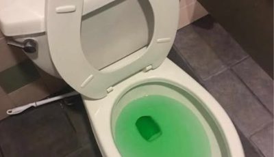 How to Unclog a Toilet Without a Plunger — The Dish Soap Hack That Actually Works!