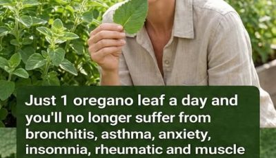 Cuban Oregano: A Thoughtful Look at Tradition, Ritual, and Responsible Use