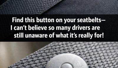 What the Little Button on Your Seat Belt Really Does