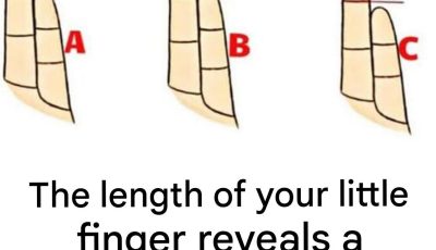 The length of your little finger could reveal unsuspected aspects of your personality