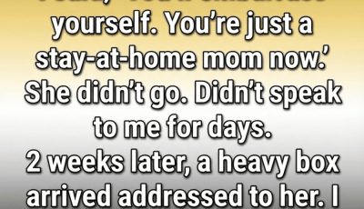 I Underestimated My Wife—Until a Box at Our Door Taught Me a Powerful Lesson.