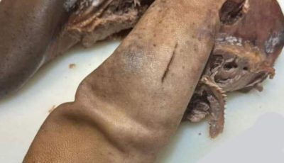 Braised Beef Tongue
