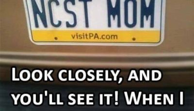 A Plate That Slipped Through: The Viral Case