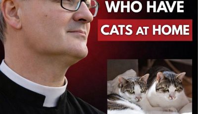 Spiritual reflections on the meaning of having cats at home.