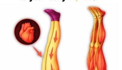 Raise your legs every day & 7 surprising things will happen to your body!