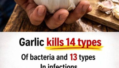 Garlic: The Natural Antibiotic That Wipes Out Infections