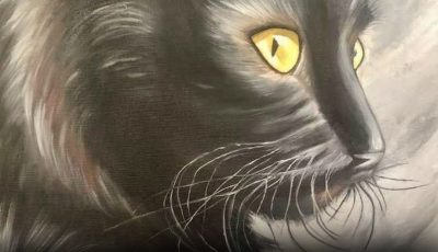 Nostradamus predicted that those who have a cat at home will…