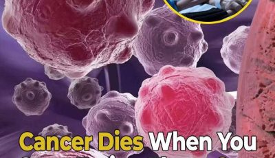 8 powerful anti-cancer foods you should start including in your diet