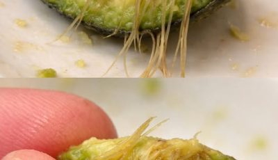 What Those Strange Strings in Your Avocado Really Mean — And Why You Shouldn’t Worry