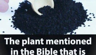 Plant in the Bible Said to Heal All Ailments