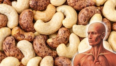 Understanding the Complete Picture About Cashews and Your Health