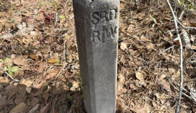 What’s Hiding Beside This Path? The Quiet Poetry of Forgotten Road Markers