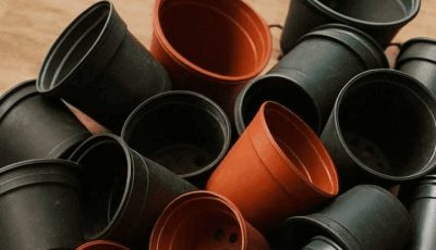 Stop throwing away old plastic pots. Here are 10 ingenious ways to use them around the house.