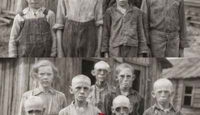 The Hollow Ridge children were discovered in 1968: what happened next defied nature.