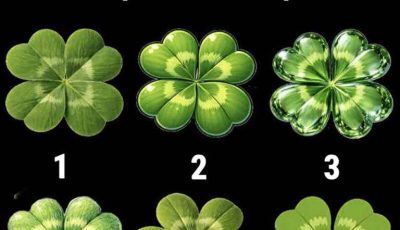 Don’t Ch:eat. Pick The Odd One Out To See How ‘Lucky’ You Really Are l’Article in the comments