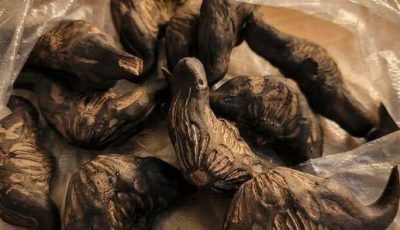 My neighbor gave me a bag of these.anyone know what they are How do you eat them….