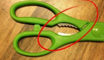 What Is That Weird Toothed Part on Kitchen Scissors For? (You’ve Been Ignoring a Genius Tool)