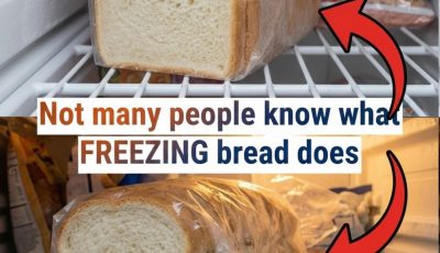 Freezing bread can preserve freshness, but improper storage causes dryness. Use airtight wrapping, double-layer protection, and proper thawing methods to keep bread soft and flavorful,