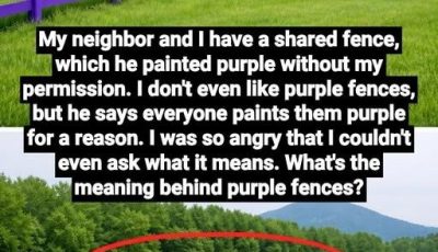 If You Spot a Painted Purple Fence, This Is What It Means
