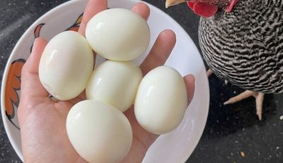 “Doctors Reveal Eggs Cause…” — Debunking the Clickbait (And Sharing Real Herb Pairings That Actually Boost Nutrition)