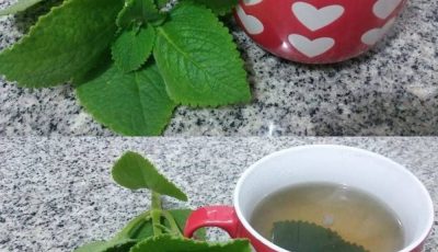 5 Reasons Seniors Should Add Oregano to Their Diet, Exploring Antioxidant Benefits, Heart Health Support, Immune Boosting Properties, Digestive Aid, And Anti-Inflammatory Effects, While Offering Simple Ways To Include This Powerful Herb In Daily Meals And Highlighting Its Role In Promoting Overall Wellness Naturally As Part Of A Balanced And Healthy Lifestyle Routine