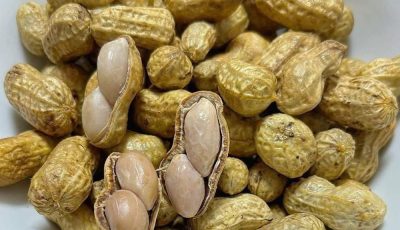 Doctors point out that peanuts consumption can lead to…