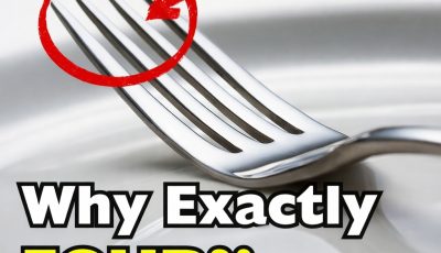 Why Do Forks Have Four Prongs