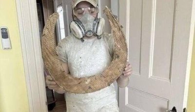 This was found in the ceiling of our upstairs bathroom (the round thing not our contractor) which is being insulated and drywalled.