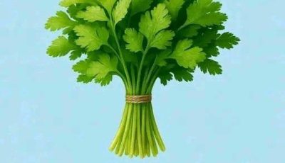 The benefits of coriander for the body will truly shock you.